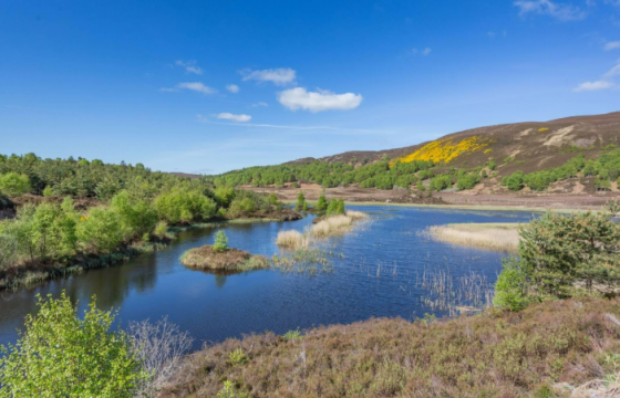 Plot for sale in Drumnadrochit photo
